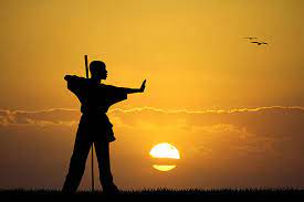 مسابقات کونگ فو